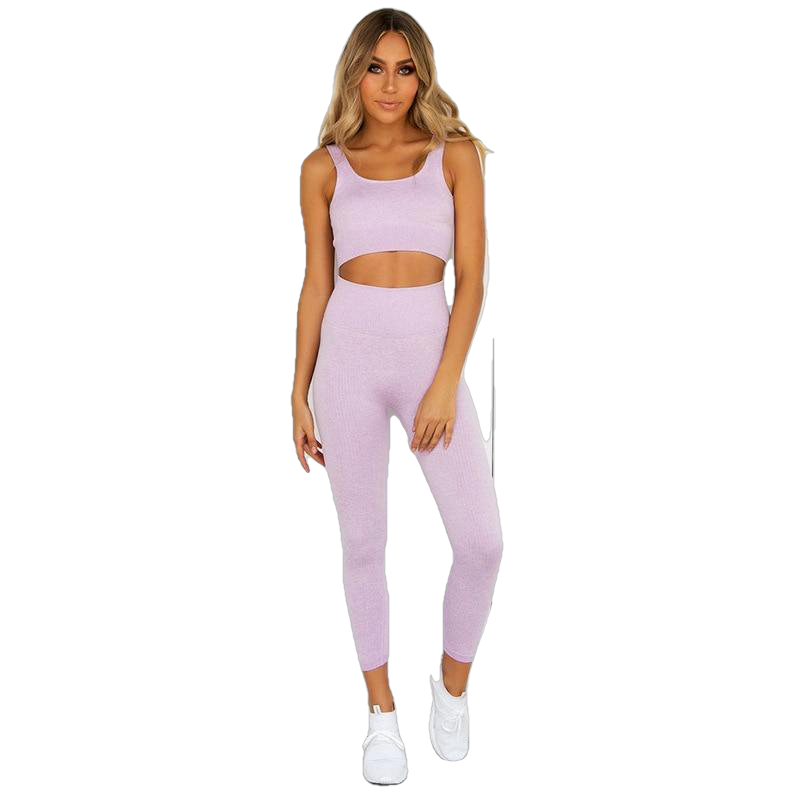 Workout Clothes For Sports Bra And Leggings Set Wear For Women Gym Clothing Athletic Yoga - JustgreenBox