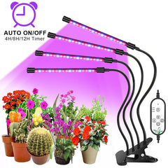 LED Grow Light USB Phyto Lamp Full Spectrum Fitolamp With Control Phytolamp For Plants Seedlings Flower Home Tent
