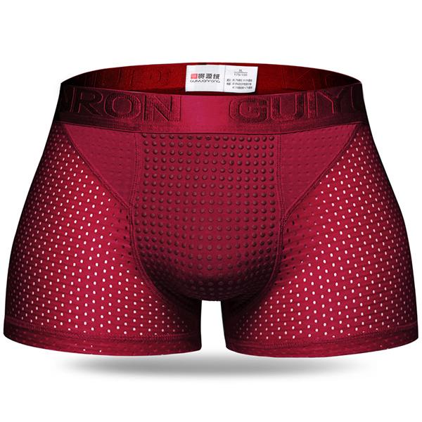 Mens Ice Silk Mesh Magnetic Therapy Health Care Underwear
