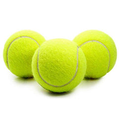 Tennis Ball Dog Toy Chewing Sport Outdoor Game Throw Run Fetch 24CM