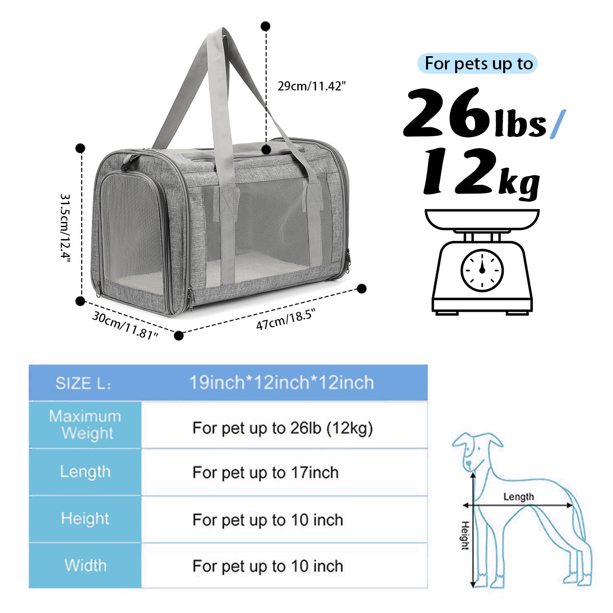 Travel Transparent Pet Carrier Breathable Dog Carring Bag Space Capsule Parrot Cat Bag Puppy Supplies Handbag