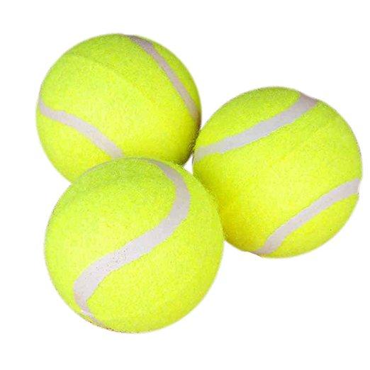 Tennis Ball Dog Toy Chewing Sport Outdoor Game Throw Run Fetch 24CM