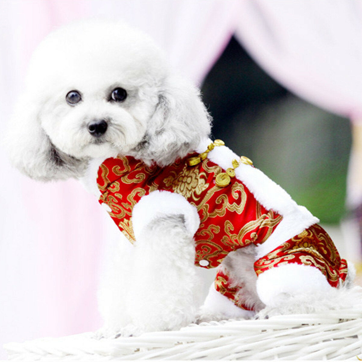 Pet Supply Dog puppy Pet Clothes