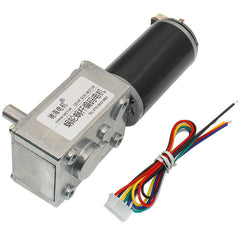 DC 24V Gear Motor 28/74/222rpm Worm Reduction Gear Encoder Motor