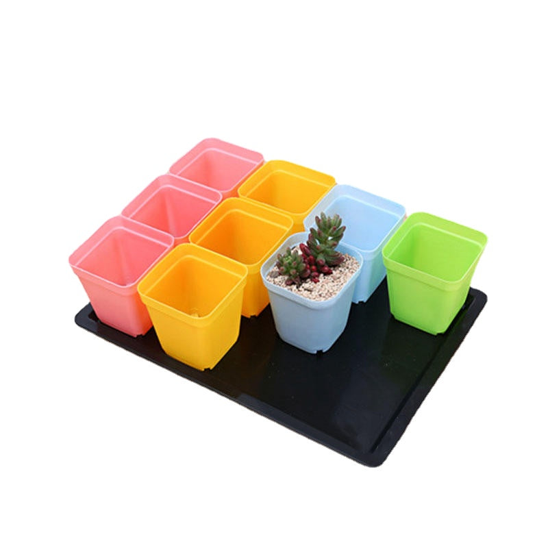 Plants Nursery Tray Long Rectangular Plastic Flower Pot Tray Multi-flesh Seedling Ceramic Pot Tray