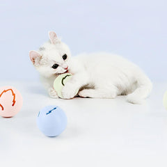 Pet toxicial Colorful Cat Teaser Toy Pet