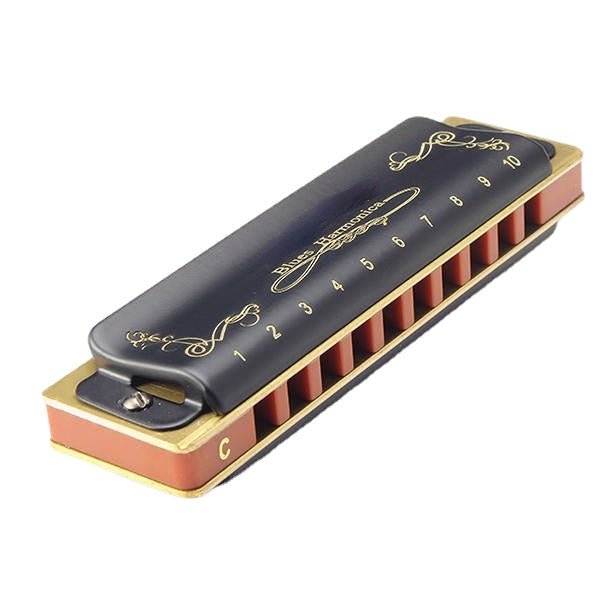 10 Hole Blues Harmonica A B C D E F G Key Black