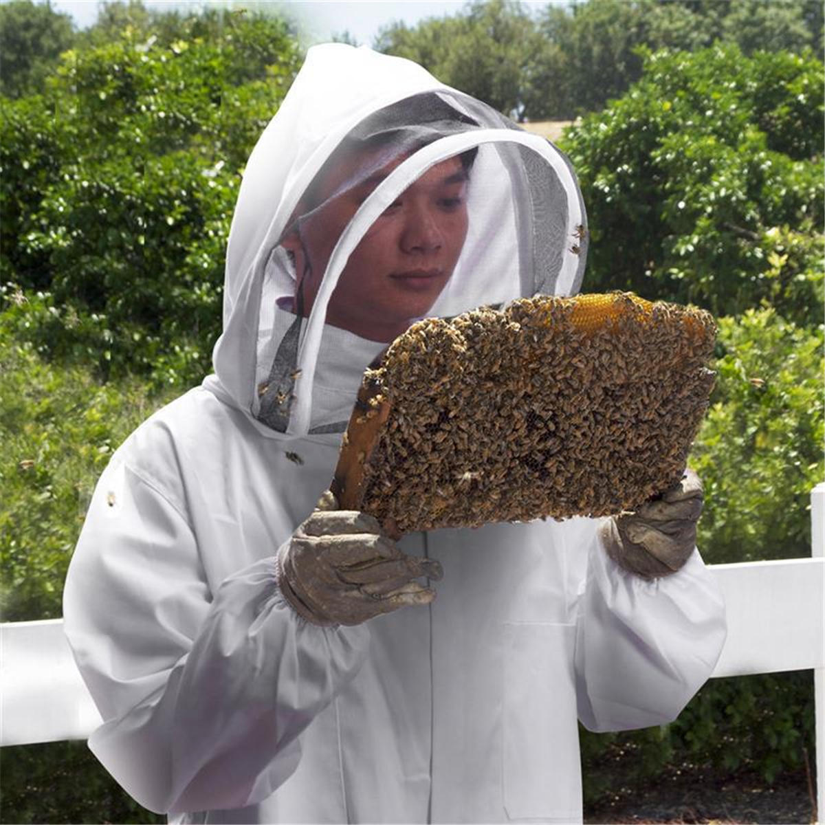 Professional Cotton Full Body Beekeeping Bee Keeping Clothing Tools Set w/ Veil Hood L/XL/XXL