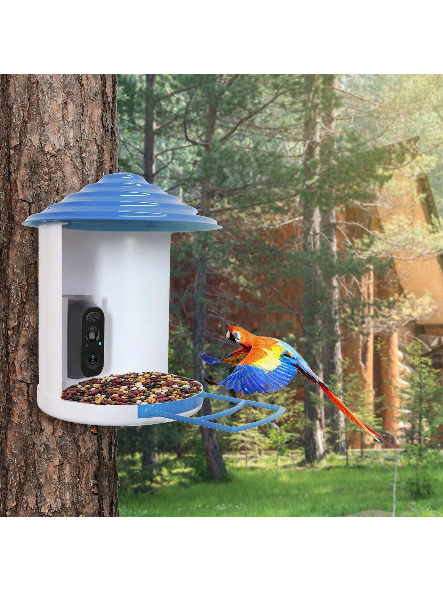 Smart Bird Feeder with Solar Camera, 1080P HD, AI Detection, WiFi, IP65 Waterproof