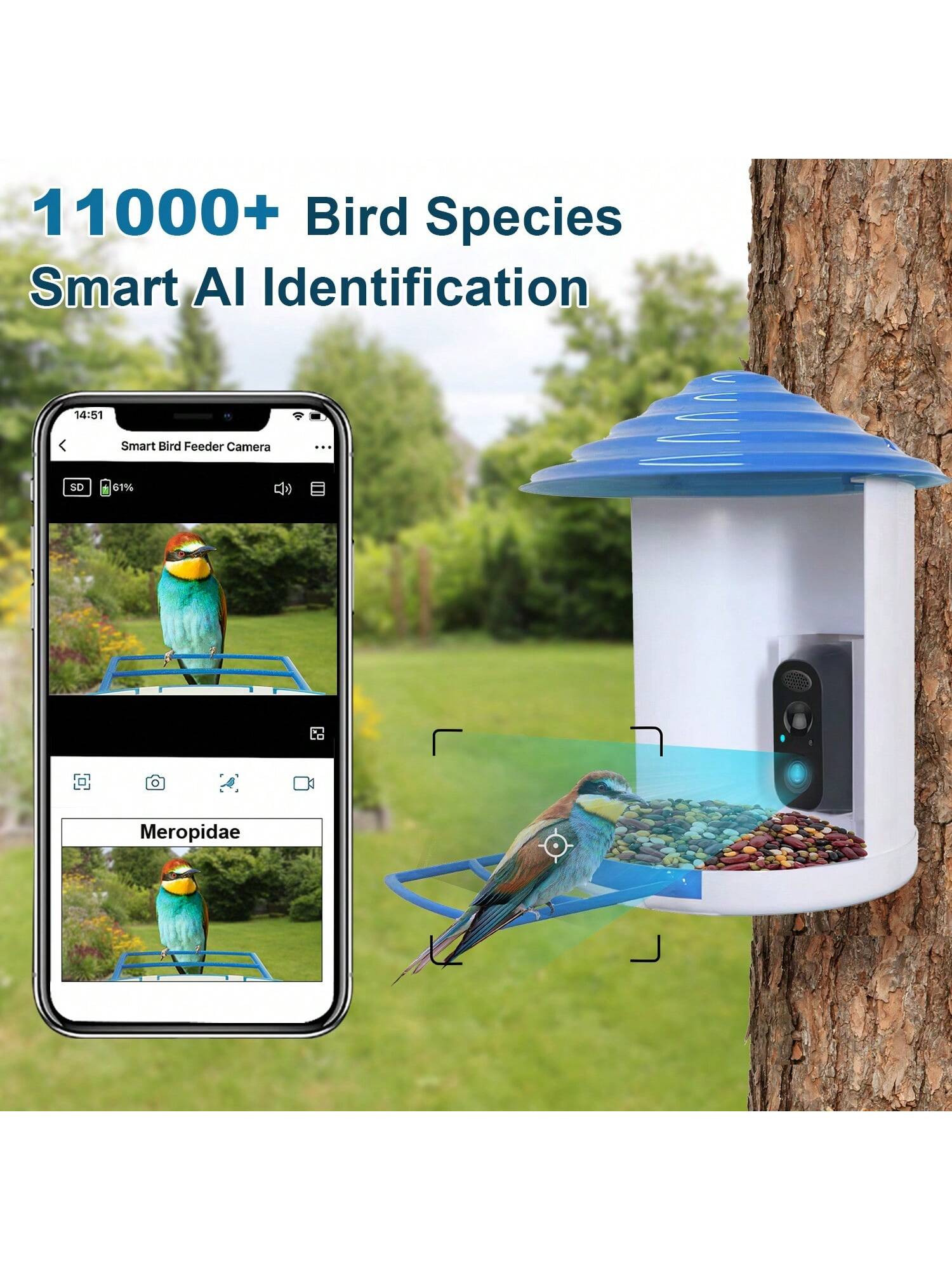 Smart Bird Feeder with Solar Camera, 1080P HD, AI Detection, WiFi, IP65 Waterproof