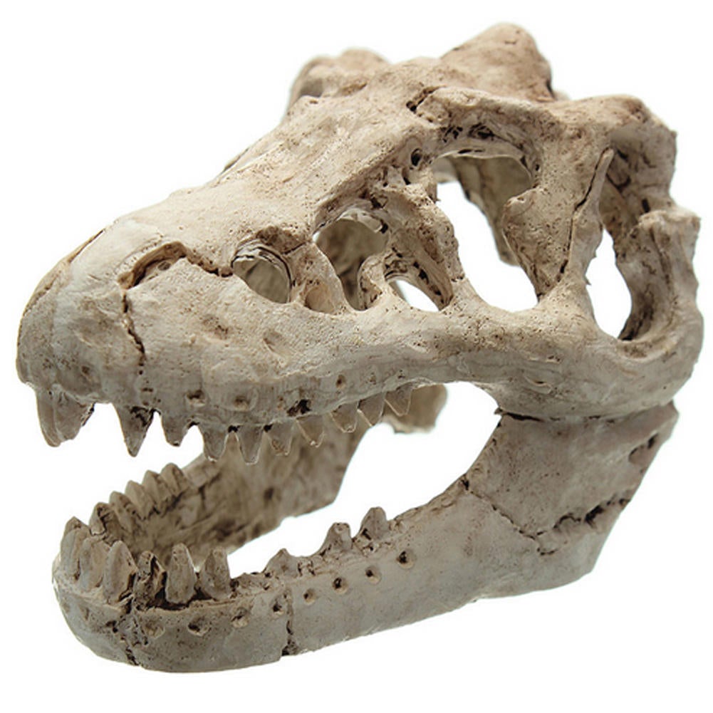 Dragon Resin Aquarium Decoration Crocodile JGG-PTll For Fish Tank Resin Ornament