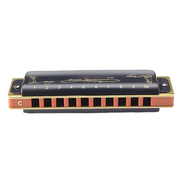 10 Hole Blues Harmonica A B C D E F G Key Black