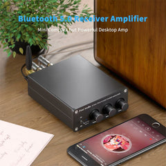 200W Bluetooth 5.0 Stereo Audio 2 Channel Amplifier Receiver Mini Hi-Fi Class D Integrated Amp 2.0 CH for Home Speakers