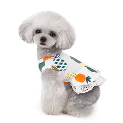 Pineapple Pattern Pet Skirt Spring And Summer Cat And Dog Clothes