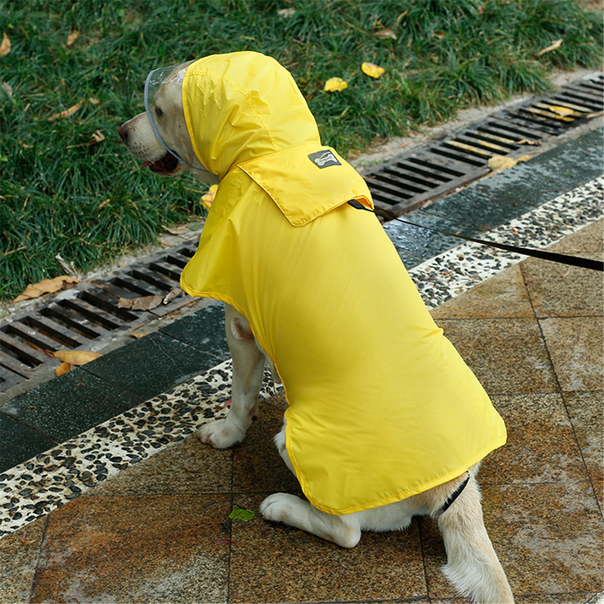 S/M Waterproof Dog Pet Raincoat Portable Raining Jacket Clothes