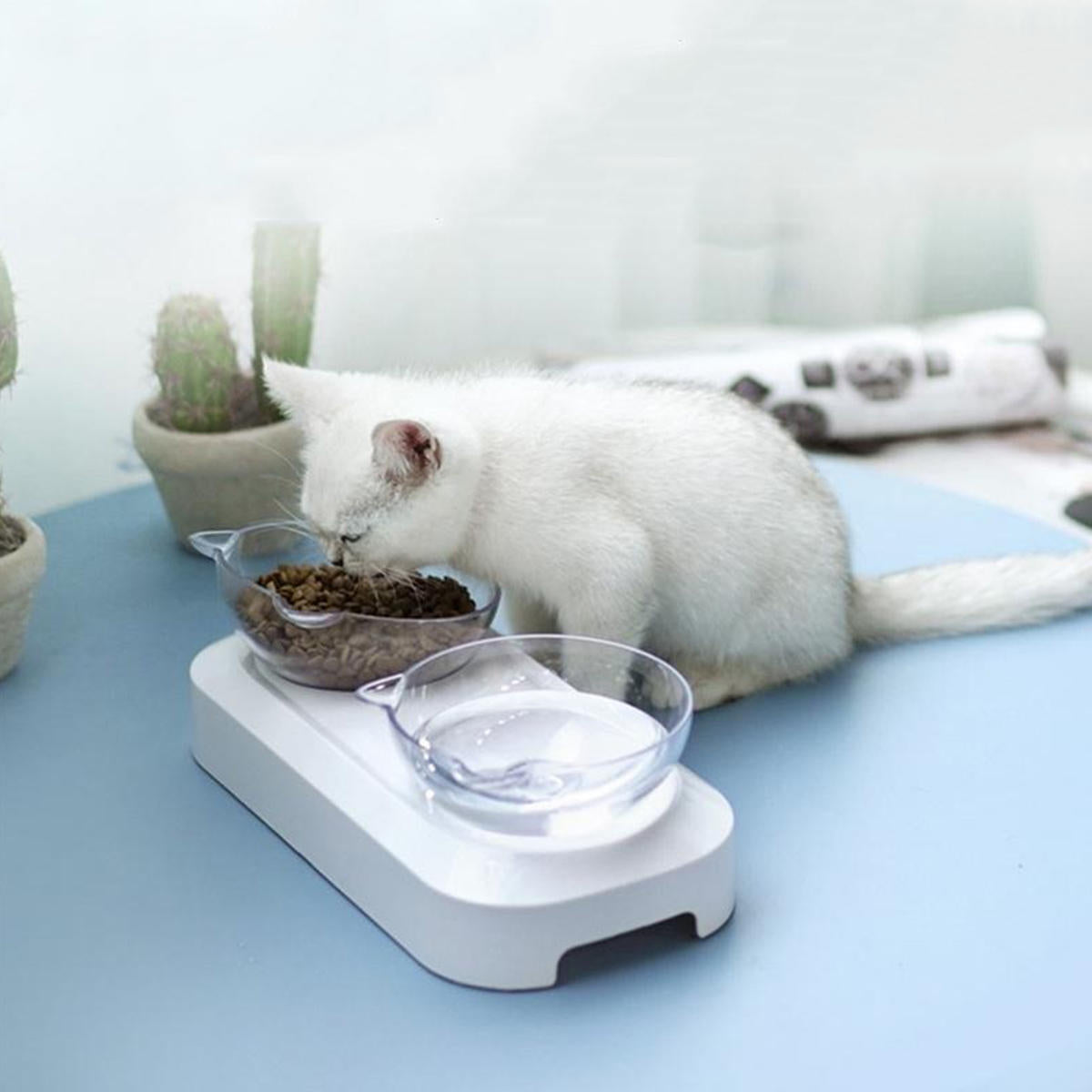 Pet Cat Food Feeder Feeding Bowl With Holder Dog White Elevated Water Bowl