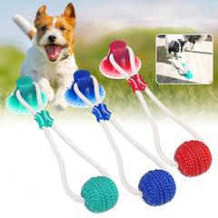 Multi-function Pet Molar Bite Toy with Suction Cup Pet Supplies Rubber Ball Pet Toys