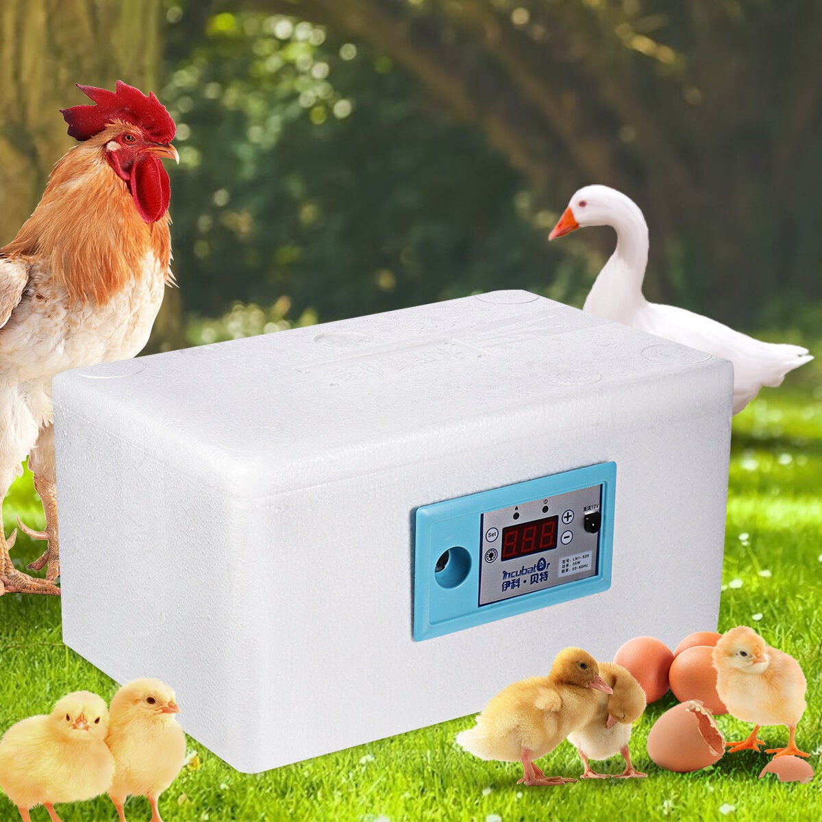 Digital Temperature Control Egg Incubatoxicken Duck Bird Pigeon