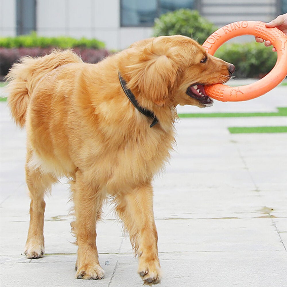 Pet Flying Discs Dog Training Ring Puller Resistant Bite Floating Toy for Puppy Outdoor Interactive Game Playing