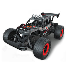 1/14 2.4G Racing RC Car Vehicle Models Children Toys