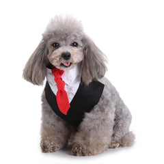 Formal Dog Tuxedo Dog Bow Tie and Neck Ties Designs