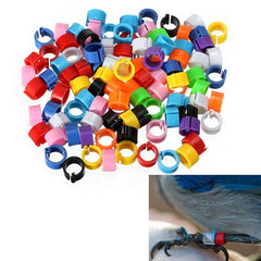 150Pcs Bird Leg Bands for Pigeon Parrot Finch Canary Hatch Poultry Pet Toys