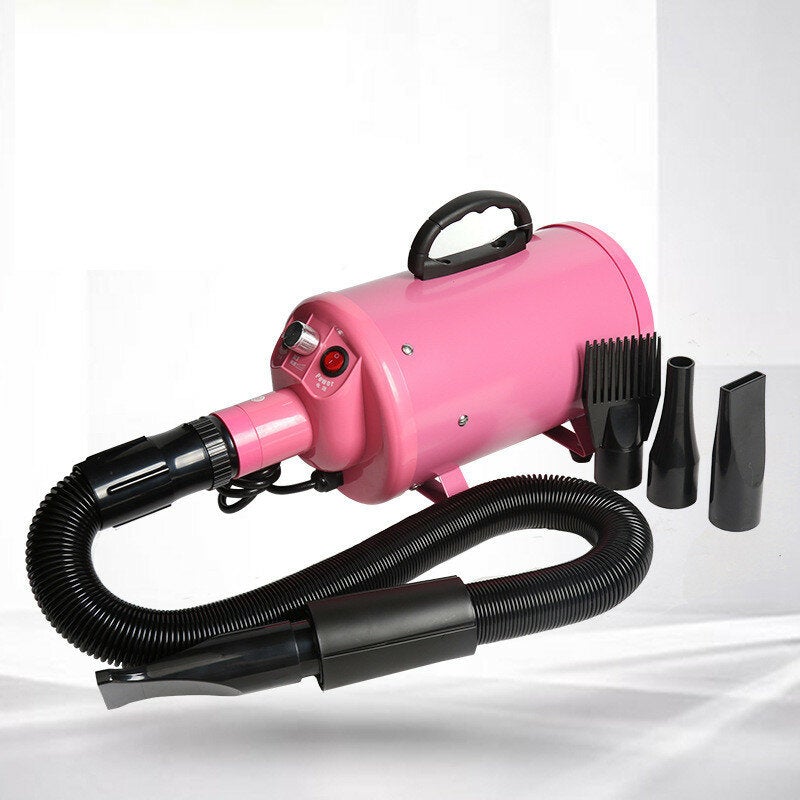 2000W Pet Hair Dryer 4 Kind of Heads Thickered Filter Element&Air Outlet Pipe Mute Operation for Cat Dog