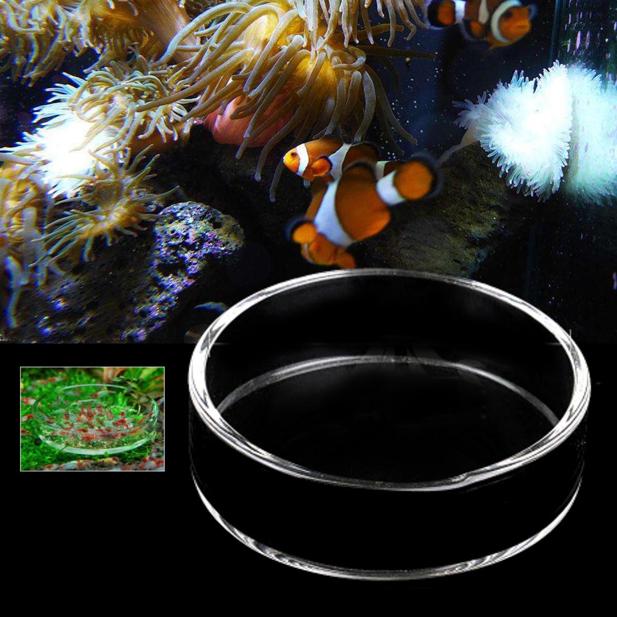 Clear Aquarium Fish Tank Glass Shrimp Feeding Food Dish Feeder Tray Fish Feeder