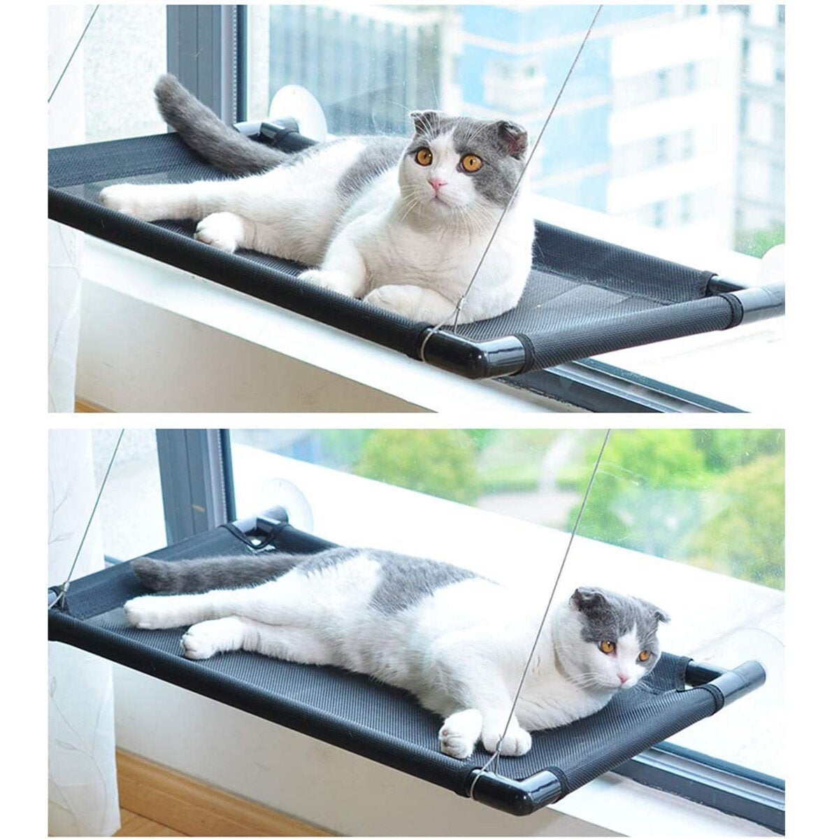 Pet Cat Bed Window Hammock Suction Cup Hanging Fossa Cat Fossa