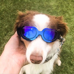 Adjustable Pet Dog Sunglasses Goggles Sun Glasses for Small Medium Large Dogs Cats Puppy Outdoor Glasses Pet Toy