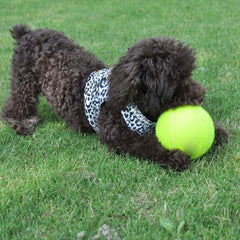 24cm Big Giant Pet Dog Puppy Tennis Ball Thrower Chucker Launcher Pet Toys