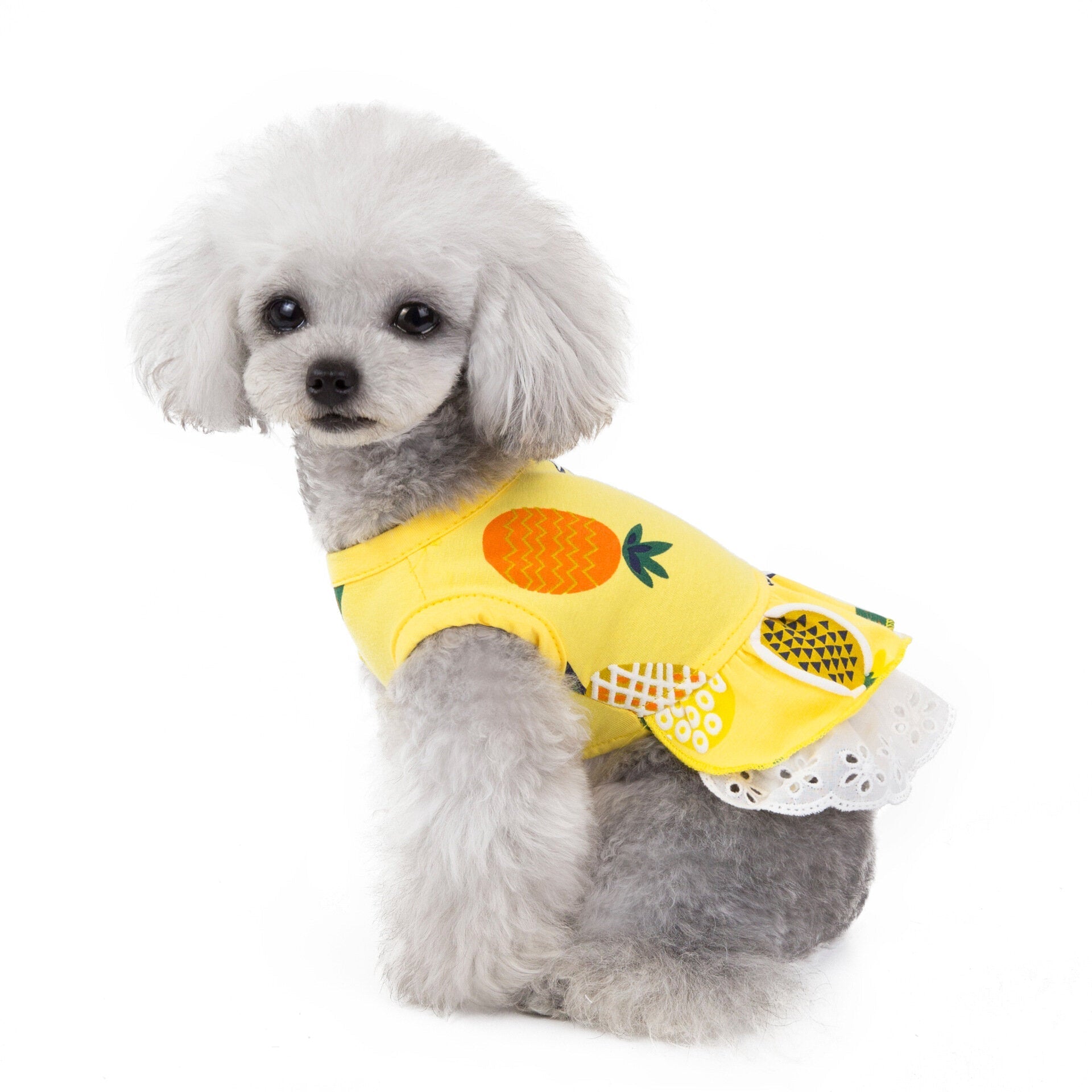 Pineapple Pattern Pet Skirt Spring And Summer Cat And Dog Clothes