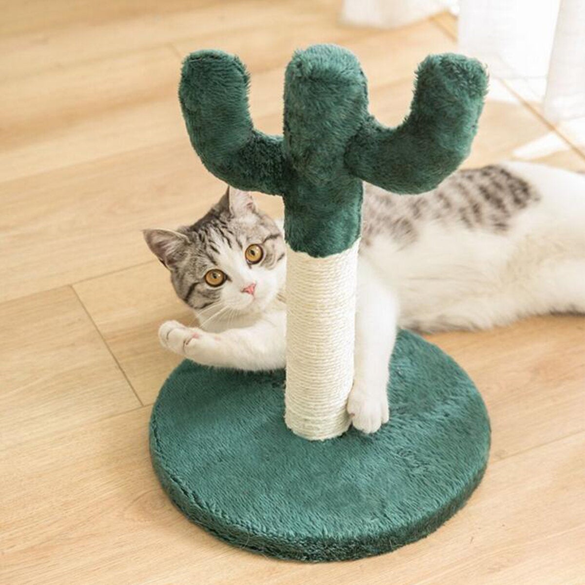 Cute Cactus Pet Cat Tree Toys with Ball Scratcher Posts for Cats Kitten Climbing Tree Cat Toy Protecting Furniture