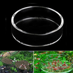 Clear Aquarium Fish Tank Glass Shrimp Feeding Food Dish Feeder Tray Fish Feeder