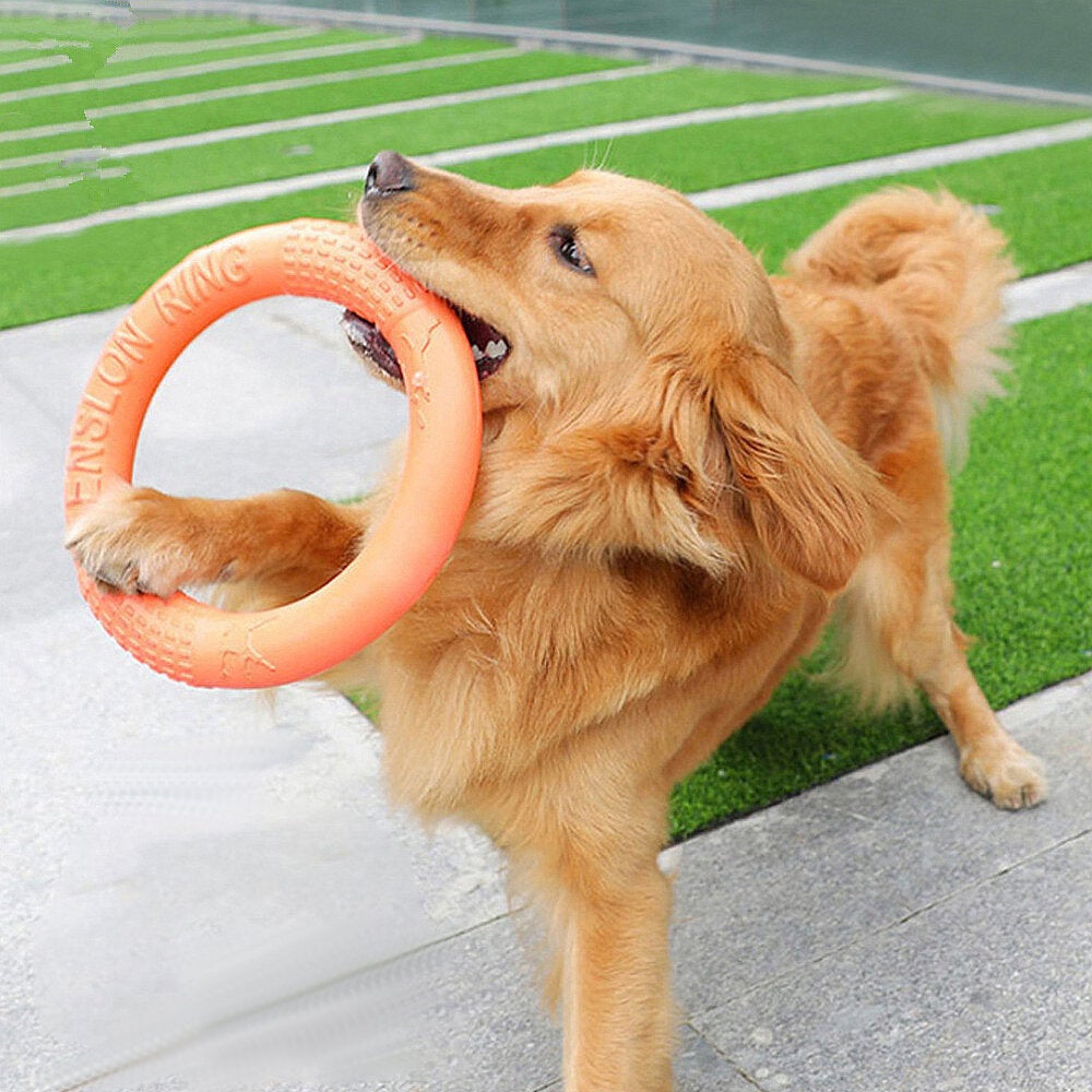 Pet Flying Discs Dog Training Ring Puller Resistant Bite Floating Toy for Puppy Outdoor Interactive Game Playing