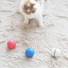 Electric Flash Light Rolling Ball Cats Catching Toy Scratch Ball Funny Cats Dogs Pet Playing Toy Pet Toys