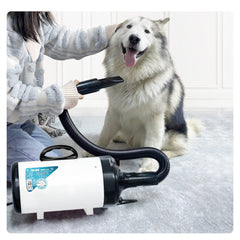 Pet Blowing Machine 2200W Low Noise Wam Wind Household Cat Dog Fast Hair Dryer for Pet Supplies Grooming