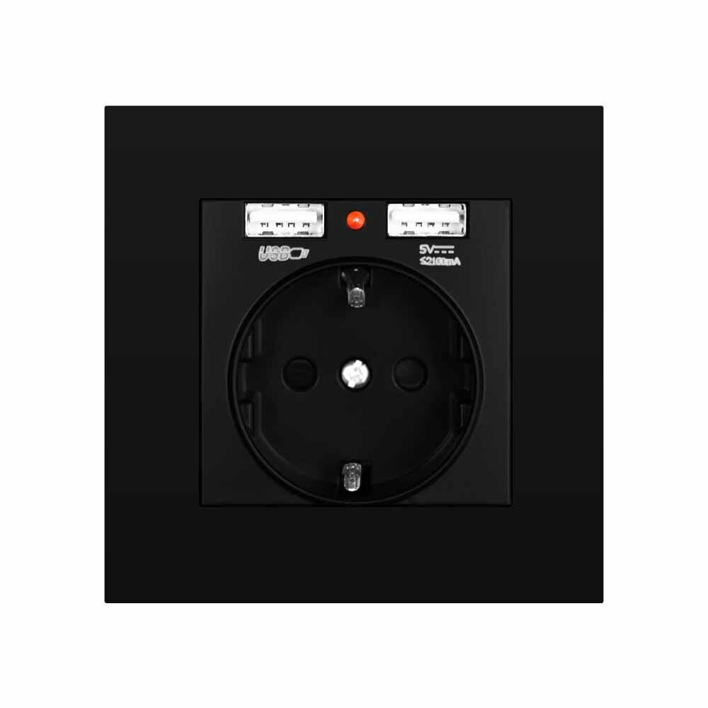 EU Power Socket with Dual USB Port 16A 250V PC Panel 86mm x 86mm