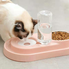 Pet Bowl Automatic Feeder Double Bowl Pet Water Dispenser Multi-functional Pet Feeder with Water Bottle