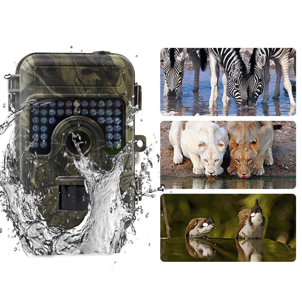 Hunting Camera 1280P Infrared Night Vision Wildlife Trail Multi Function 24MP Camera