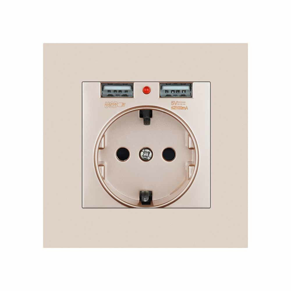 EU Power Socket with Dual USB Port 16A 250V PC Panel 86mm x 86mm