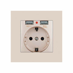 EU Power Socket with Dual USB Port 16A 250V PC Panel 86mm x 86mm