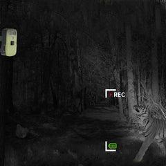 HD Trail Camera WIFI Night Vision Infrared PIR Induction Wildlife Camera Security Hunting Camera Built-in 6000mAh Lithium Battery