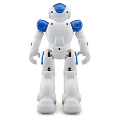 Cady USB Charging Dancing Gesture Control Robot Toy