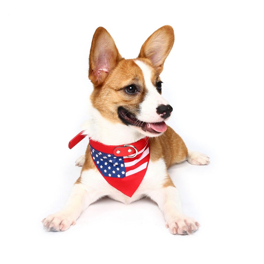 Pet Dog American Flag Collar Pet PU Canvas Decorative Cool Collar