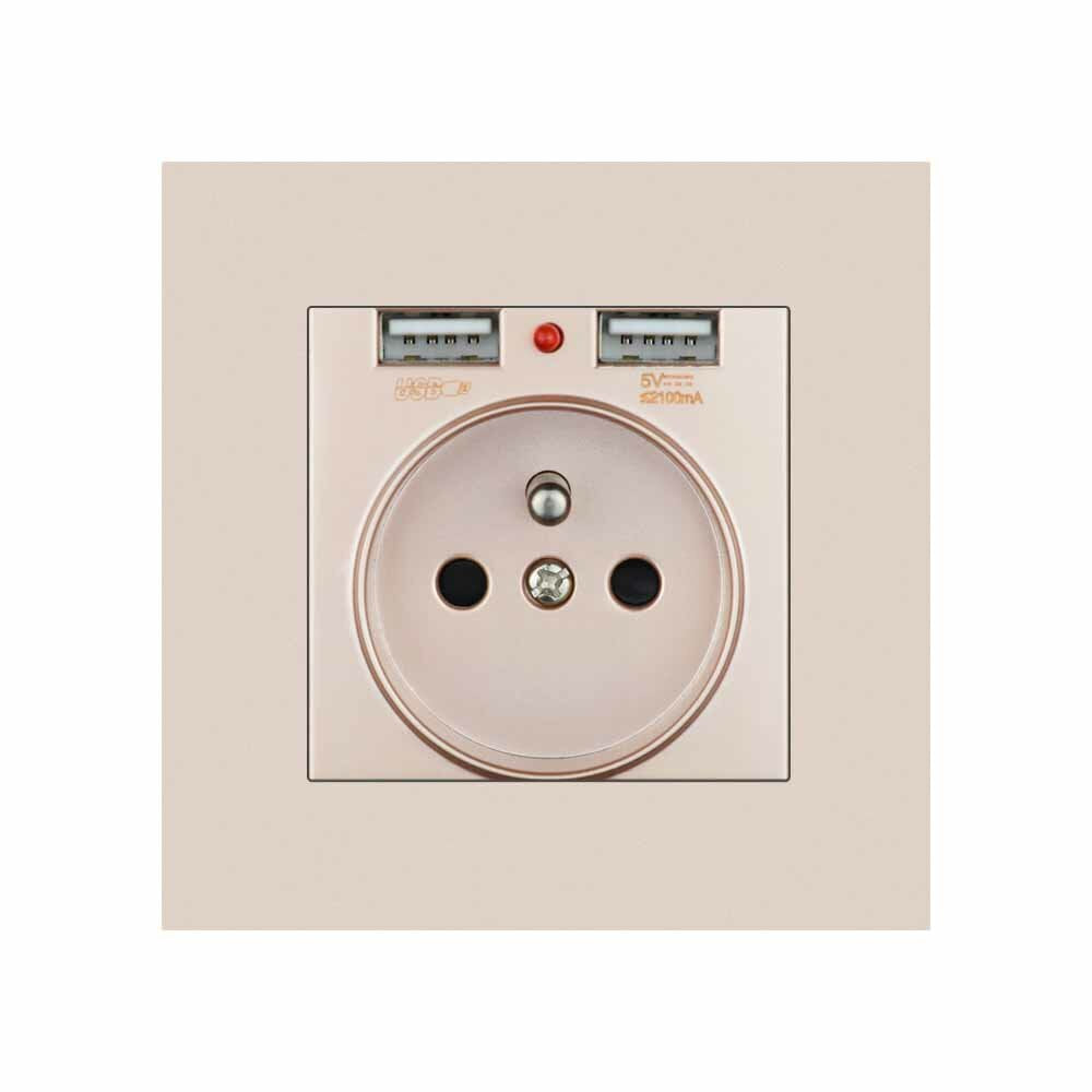 EU Power Socket with Dual USB Port 16A 250V PC Panel 86mm x 86mm