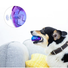 Dog Chew Toy Ball Interactive Dog Training Inflatable Grind Teeth Ball For Home Outdoor Games