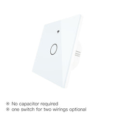 EU Wall Touch 250V 50/60Hz Smart Light Switch for Neutral Wire/No Neutral Wire No Capacitor Works with Alexa Google Hub Required