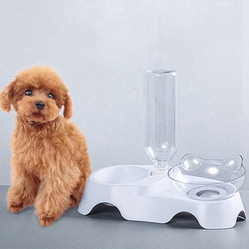 15 Degree Raised Pet Bowls Cats Food Water Feeder Plastic Tilted Elevated Bowl for Pets Care