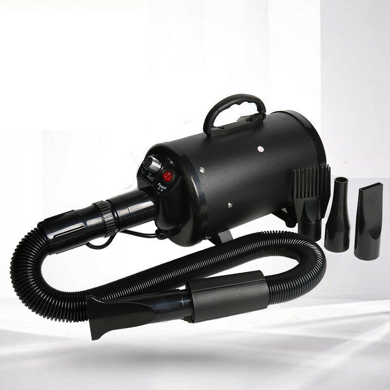 2000W Pet Hair Dryer 4 Kind of Heads Thickered Filter Element&Air Outlet Pipe Mute Operation for Cat Dog